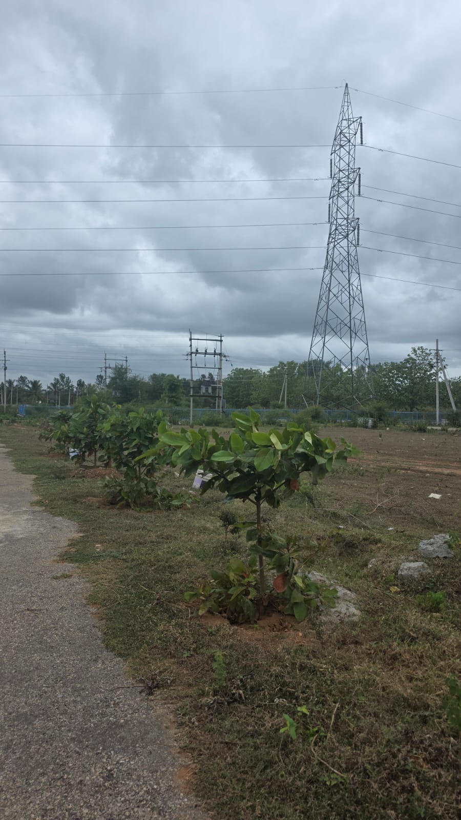 Gnyana bharti layout Mysore image 5